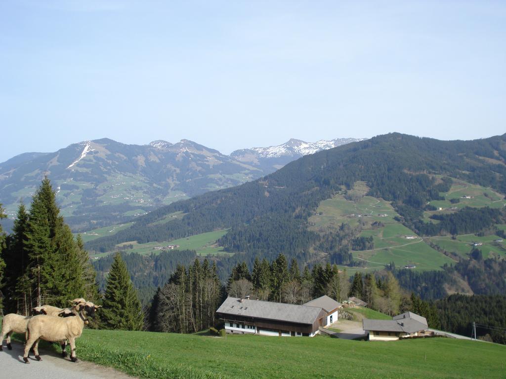 Biobauernhof Fleckl Hopfgarten im Brixental Exterior foto